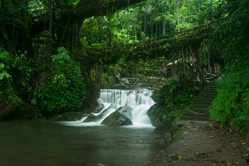 Budget trip: Assam & Meghalaya